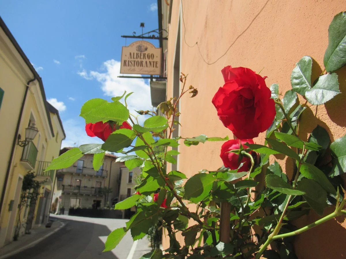 Bossolasco, le village des roses